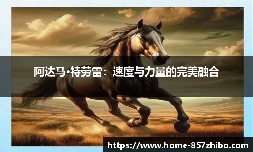 857体育直播间