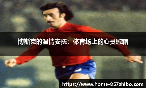 857体育直播间