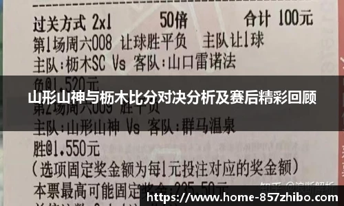 山形山神与枥木比分对决分析及赛后精彩回顾