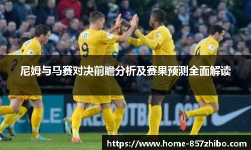 尼姆与马赛对决前瞻分析及赛果预测全面解读