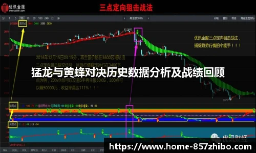 猛龙与黄蜂对决历史数据分析及战绩回顾